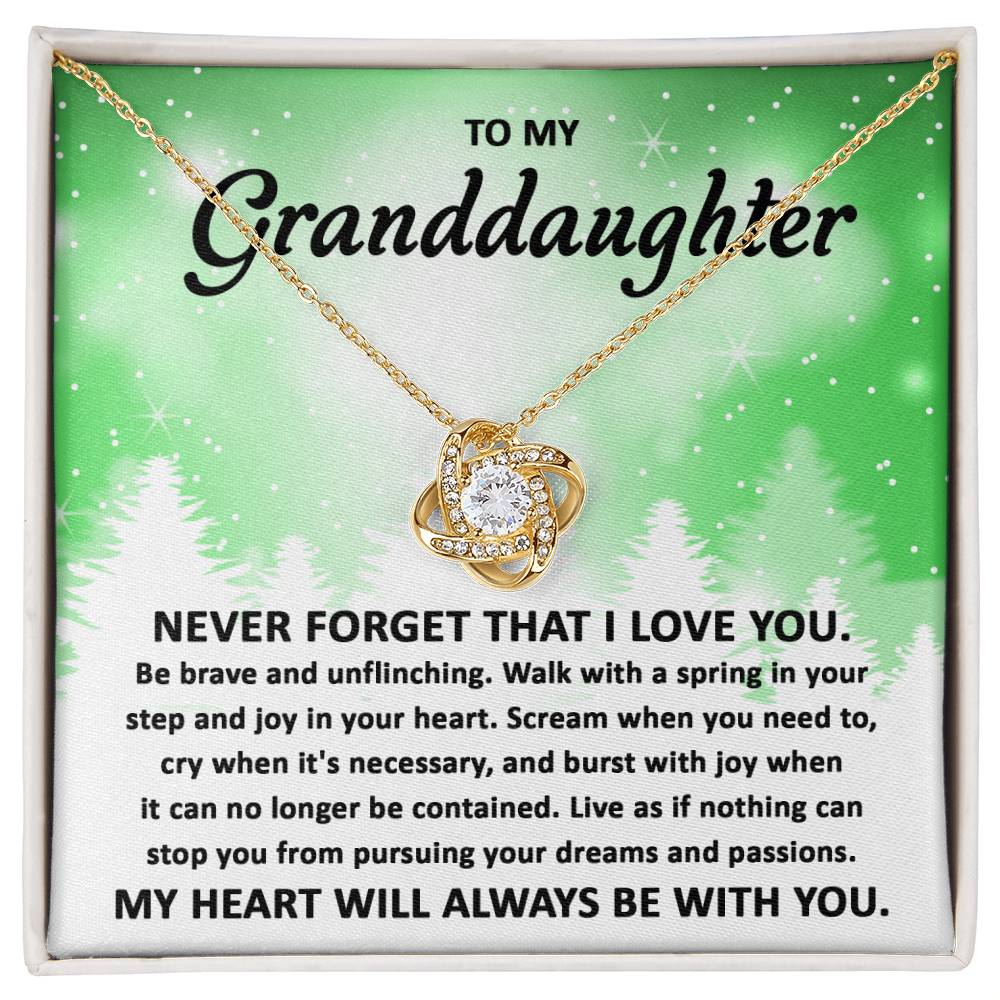 To My Granddaughter Pursuing your Dreams