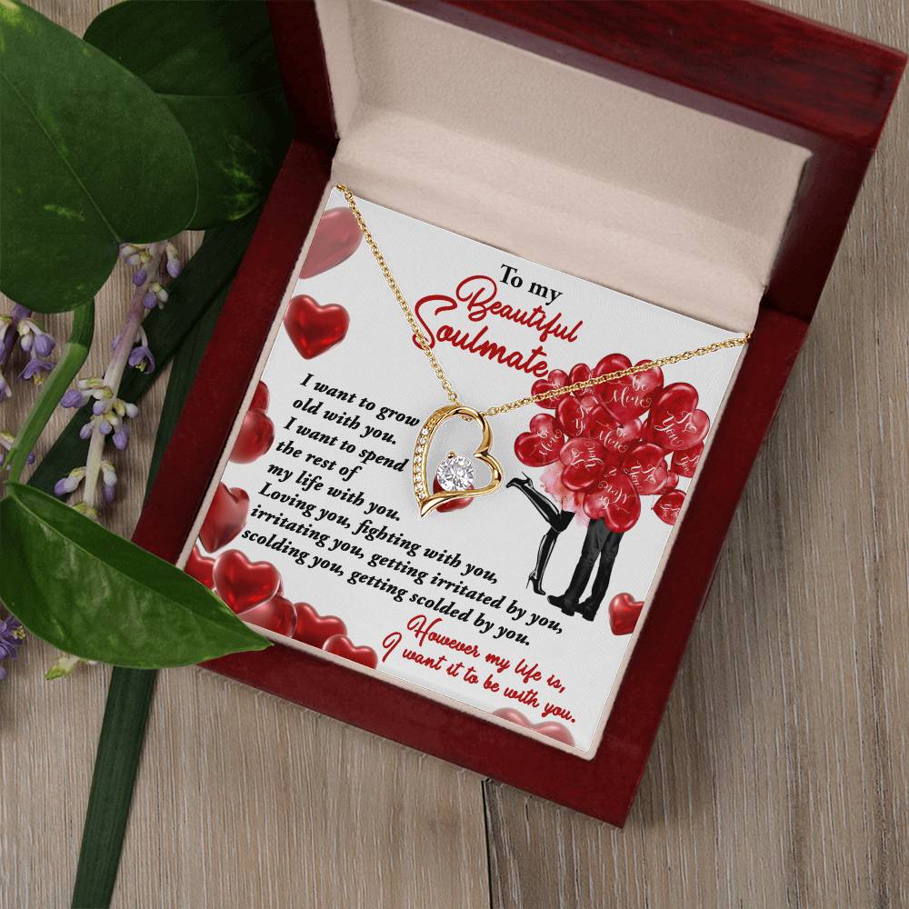 To my Soulmate I want to grow old with you