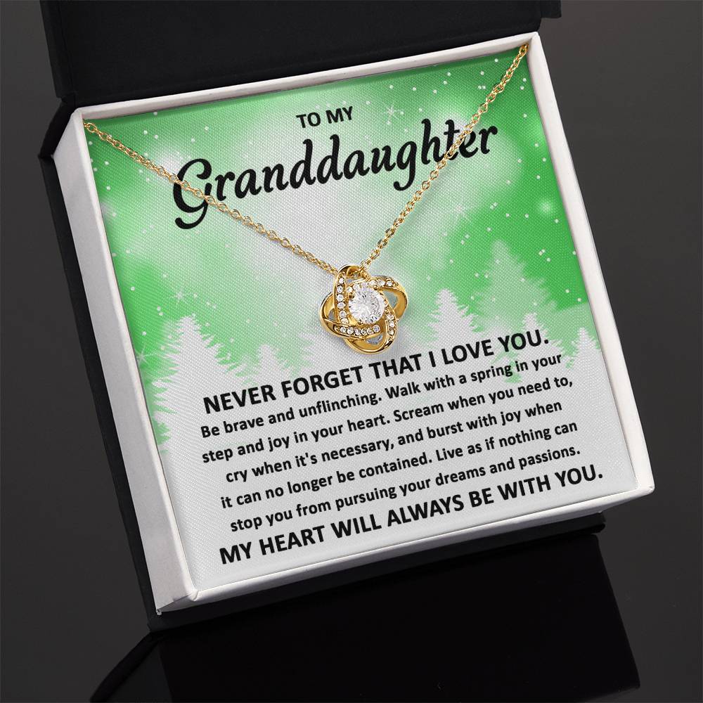 To My Granddaughter Pursuing your Dreams