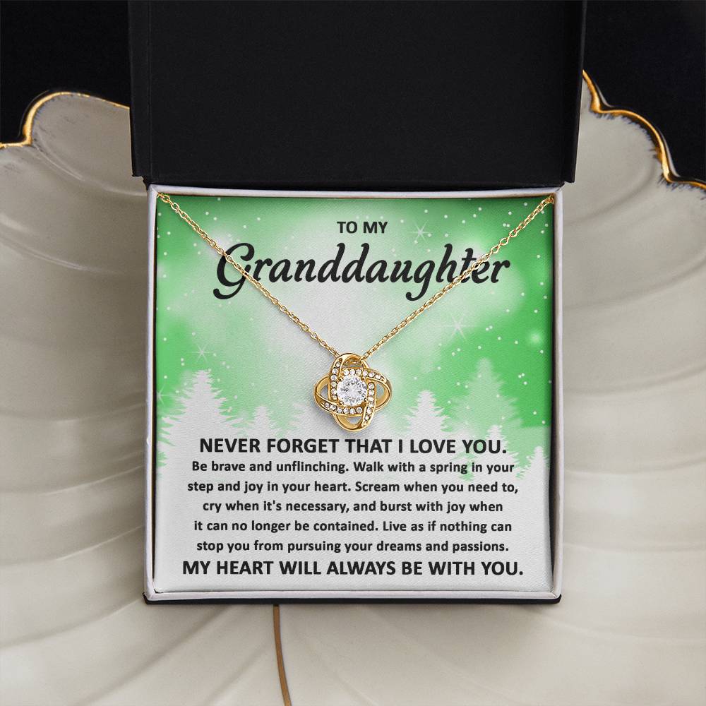 To My Granddaughter Pursuing your Dreams