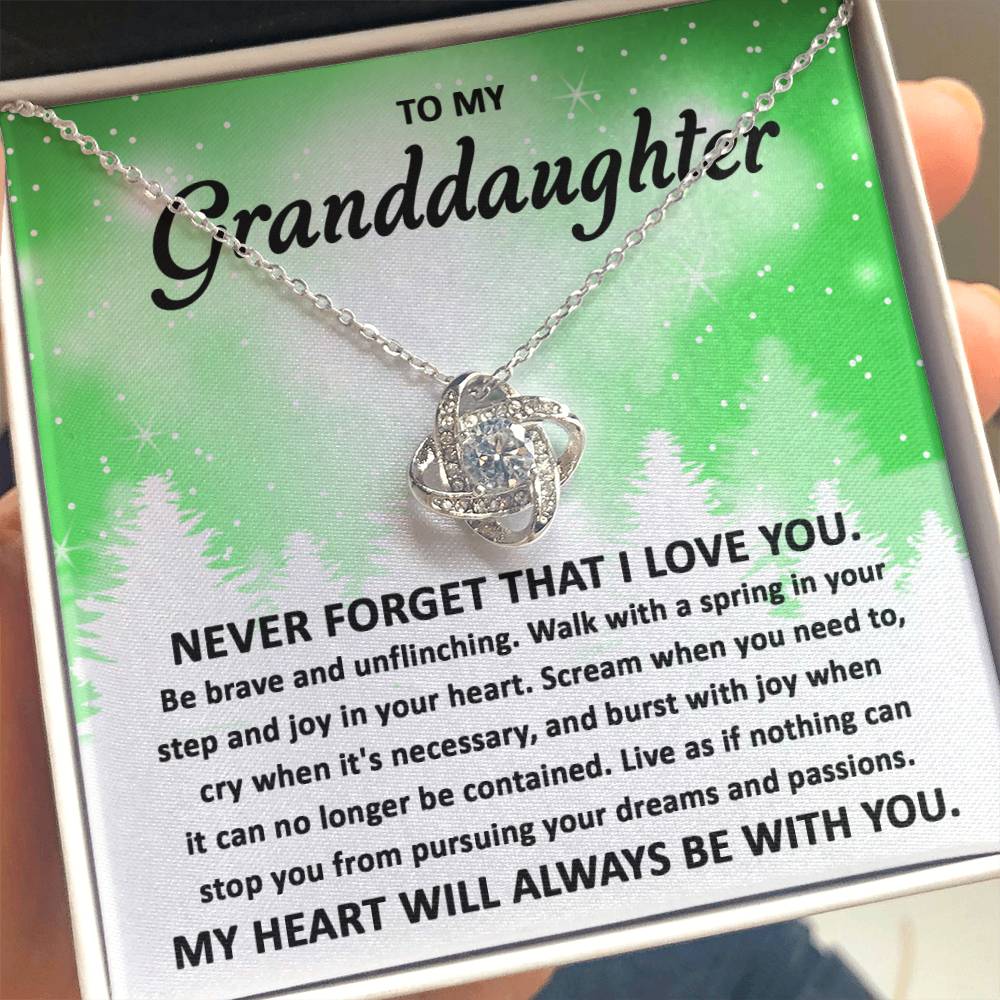 To My Granddaughter Pursuing your Dreams