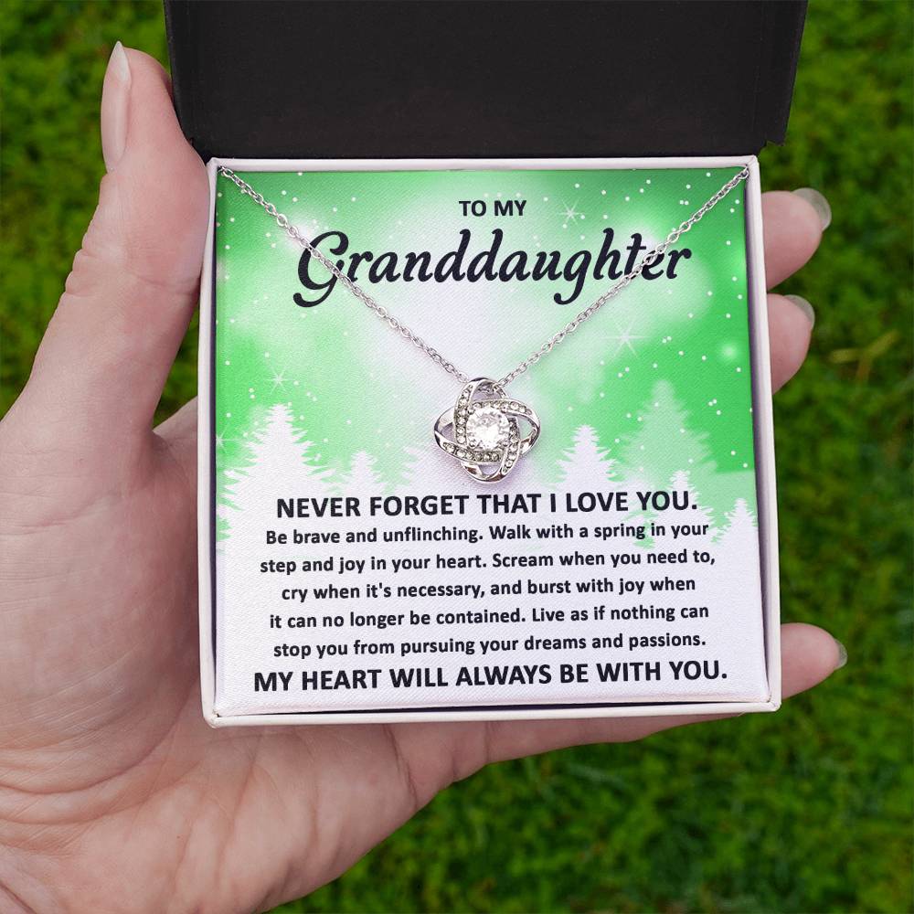 To My Granddaughter Pursuing your Dreams