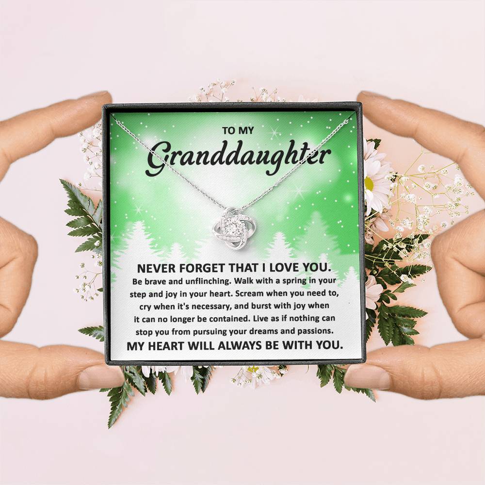 To My Granddaughter Pursuing your Dreams