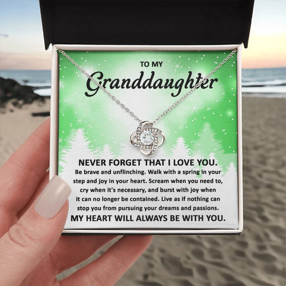 To My Granddaughter Pursuing your Dreams