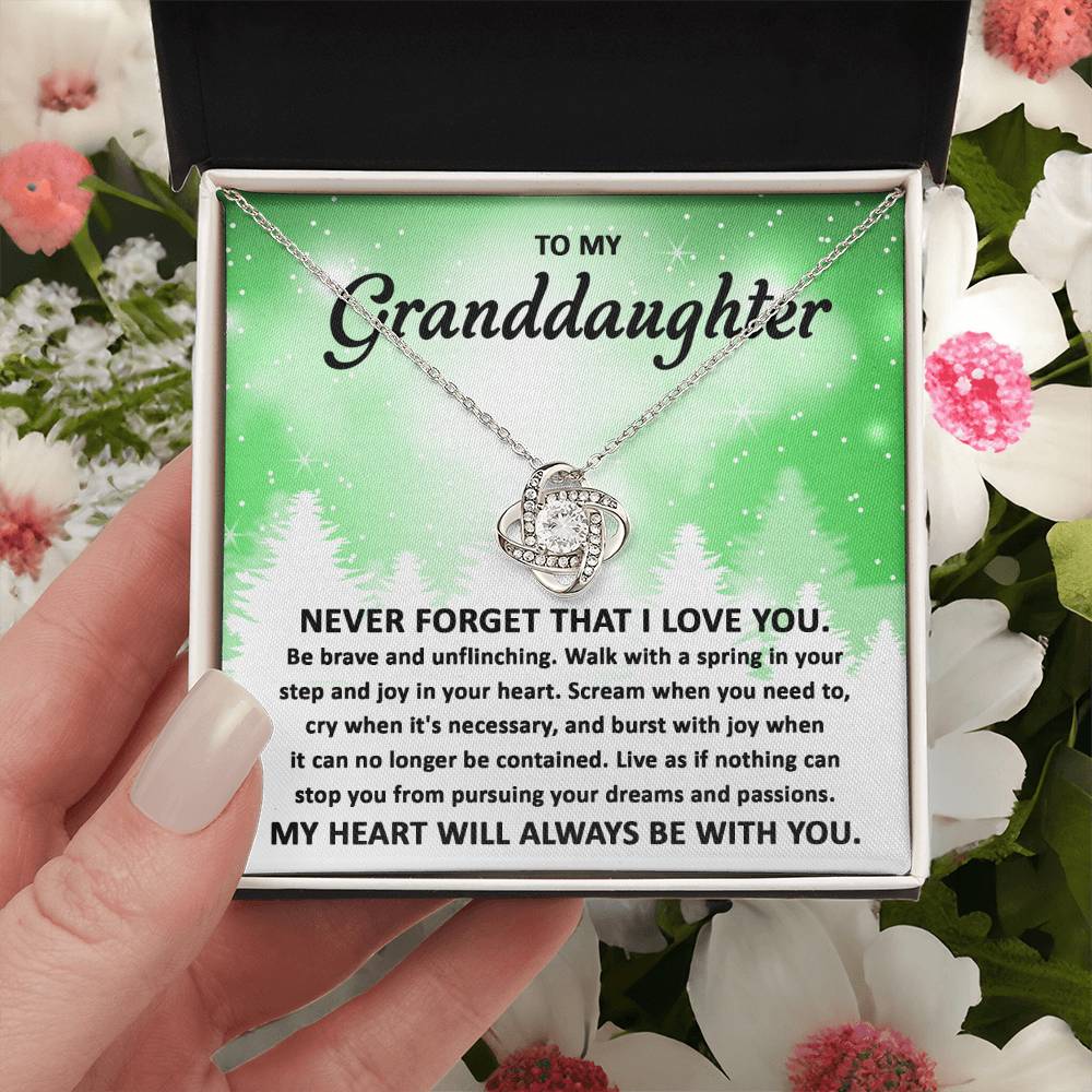 To My Granddaughter Pursuing your Dreams