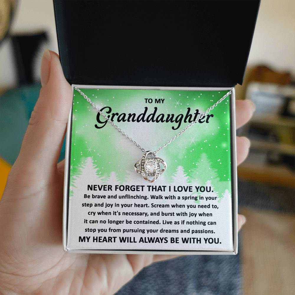 To My Granddaughter Pursuing your Dreams