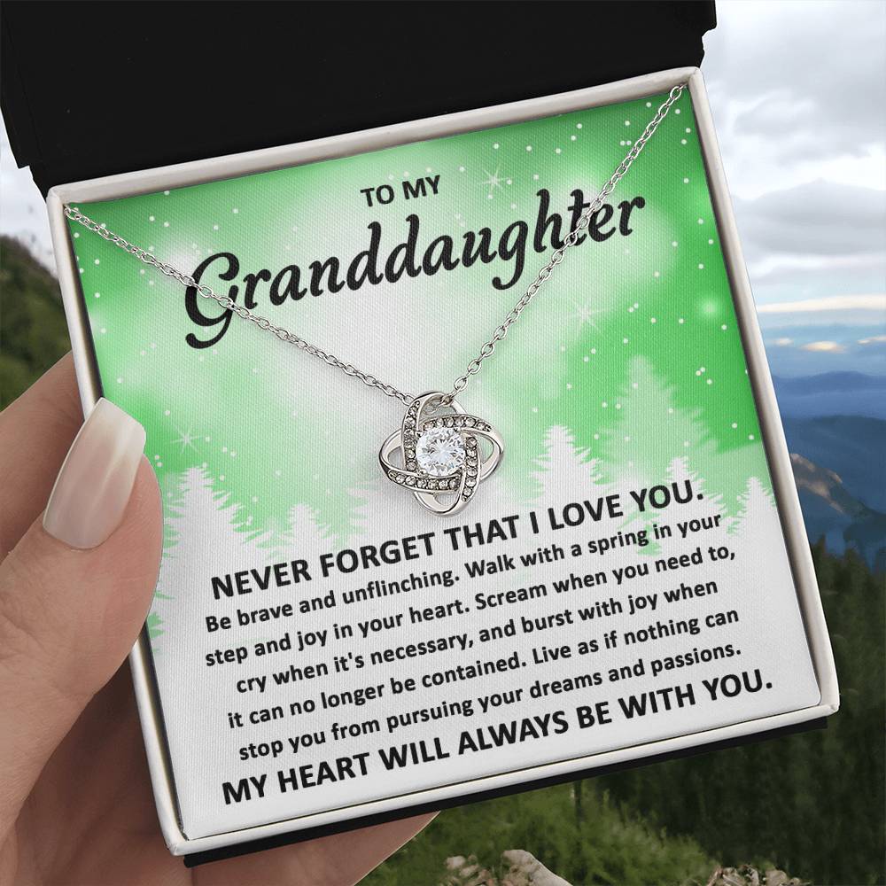 To My Granddaughter Pursuing your Dreams