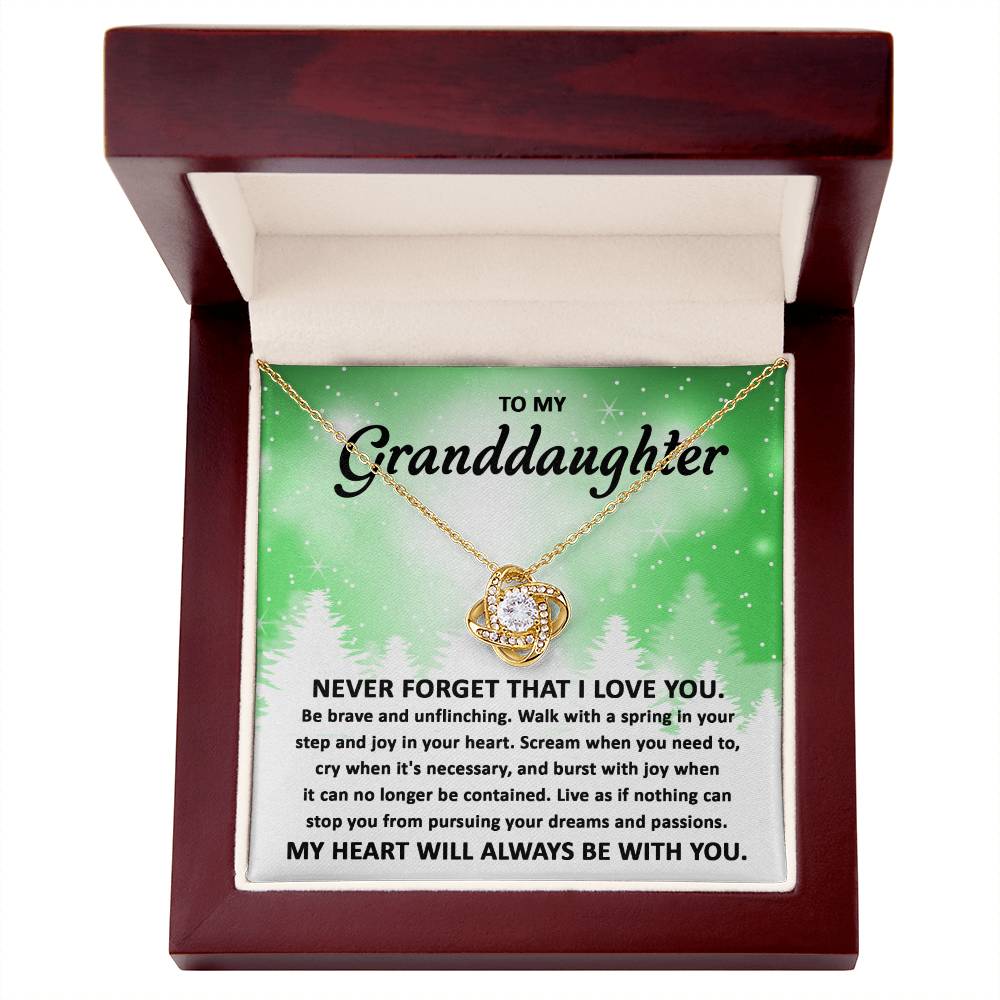 To My Granddaughter Pursuing your Dreams