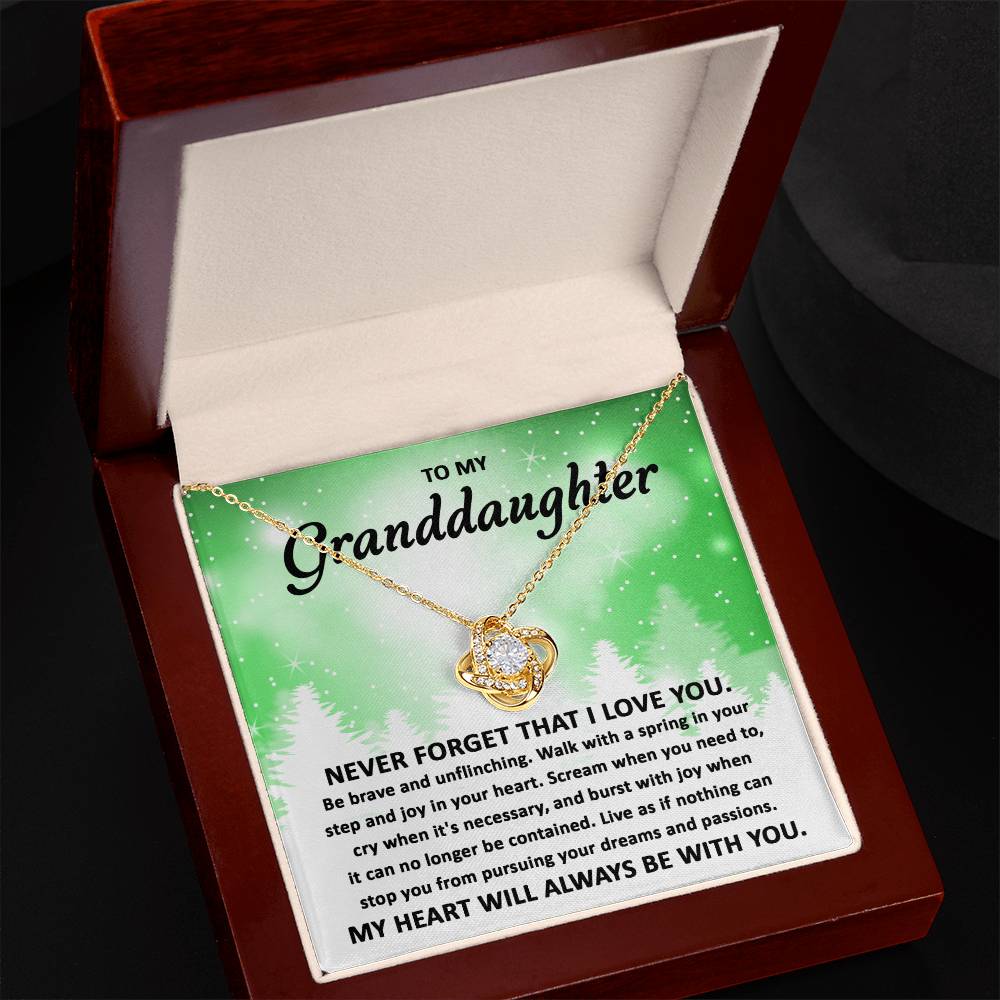 To My Granddaughter Pursuing your Dreams