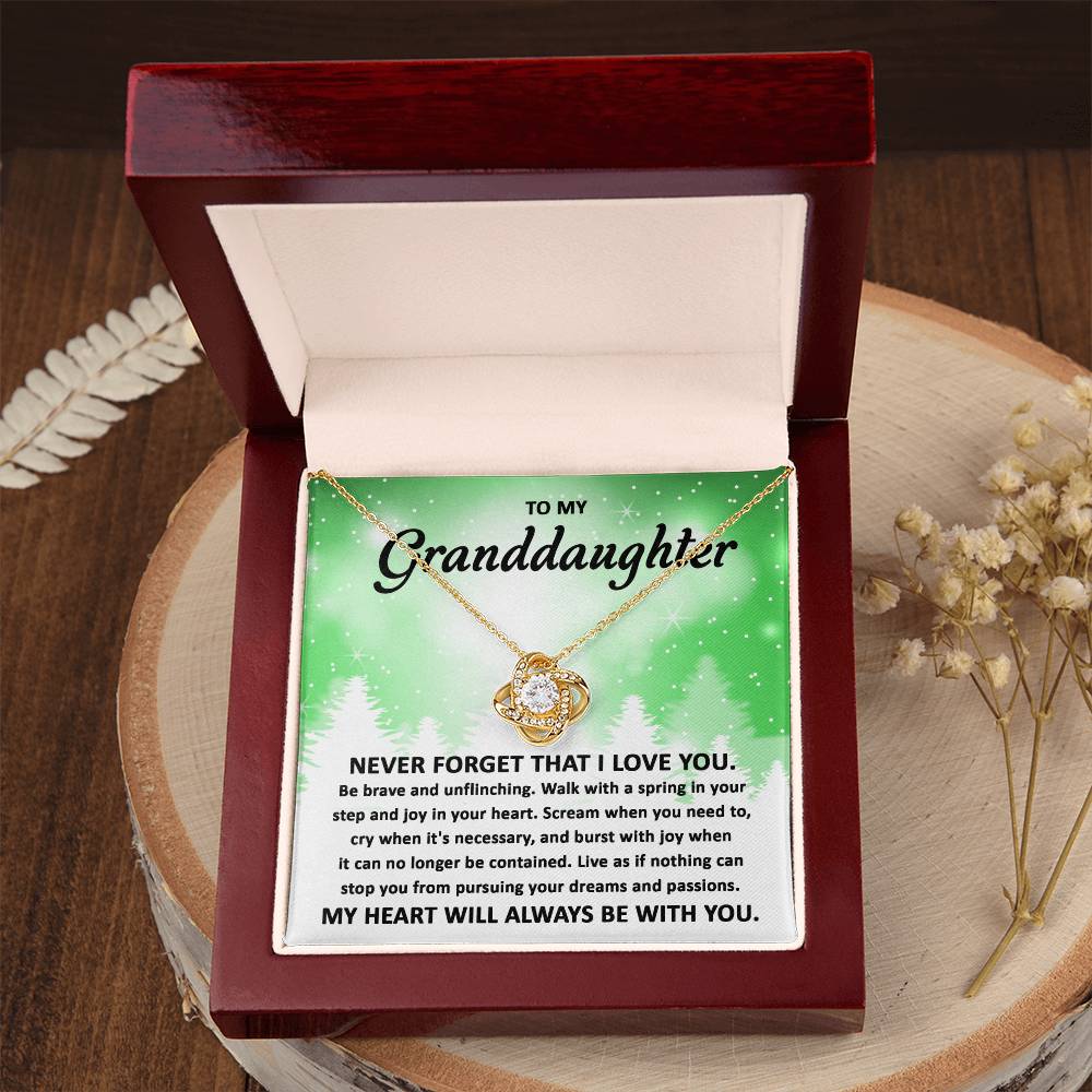 To My Granddaughter Pursuing your Dreams