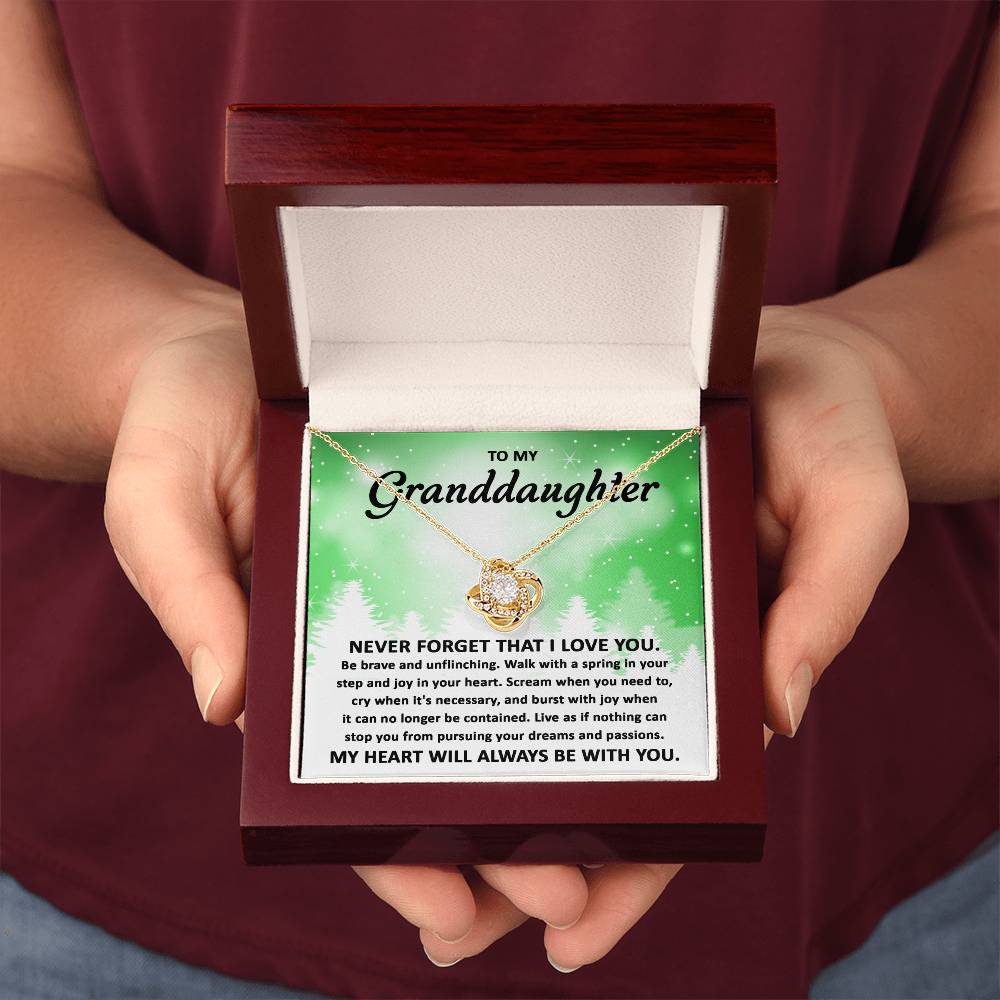 To My Granddaughter Pursuing your Dreams