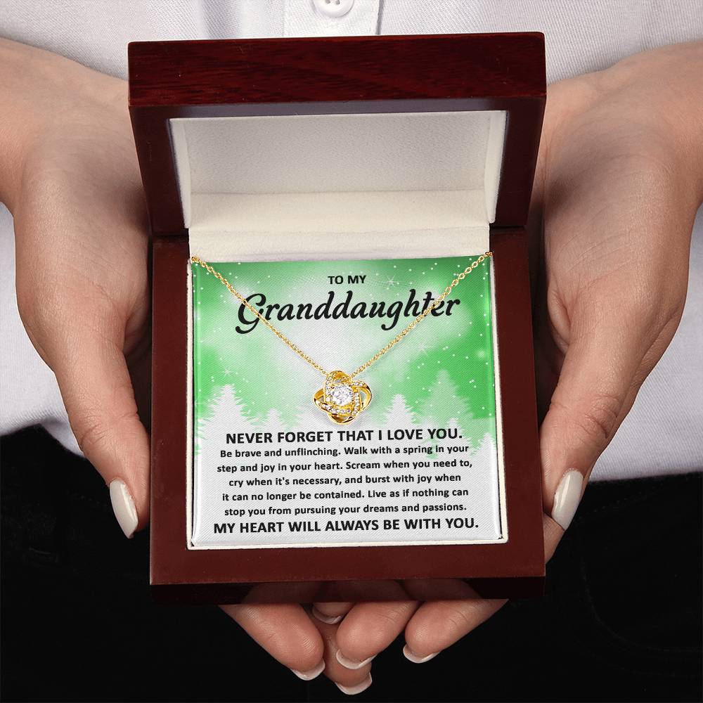 To My Granddaughter Pursuing your Dreams