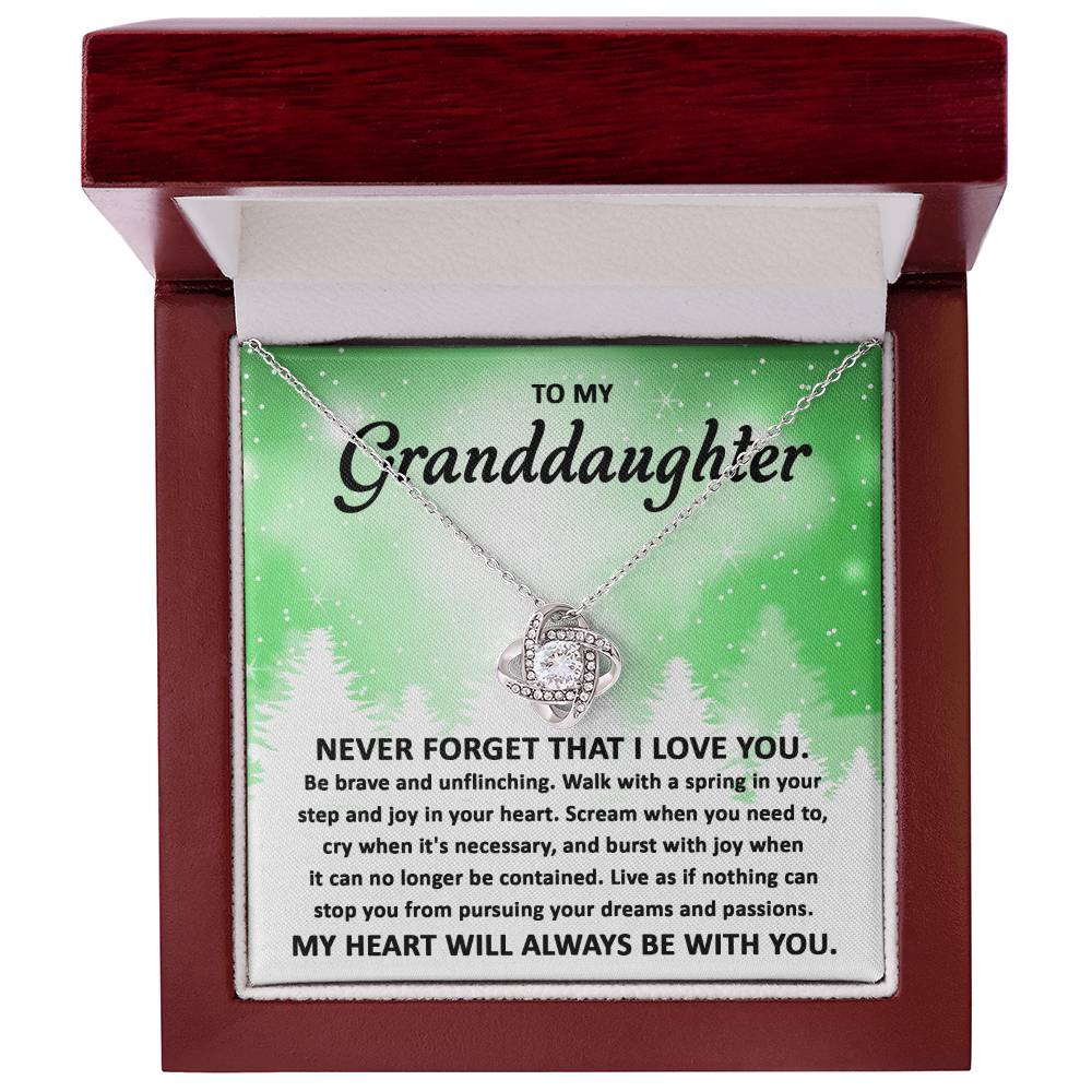 To My Granddaughter Pursuing your Dreams