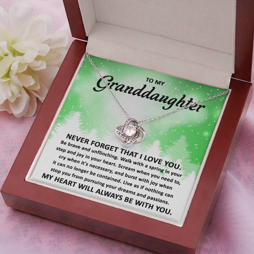 To My Granddaughter Pursuing your Dreams