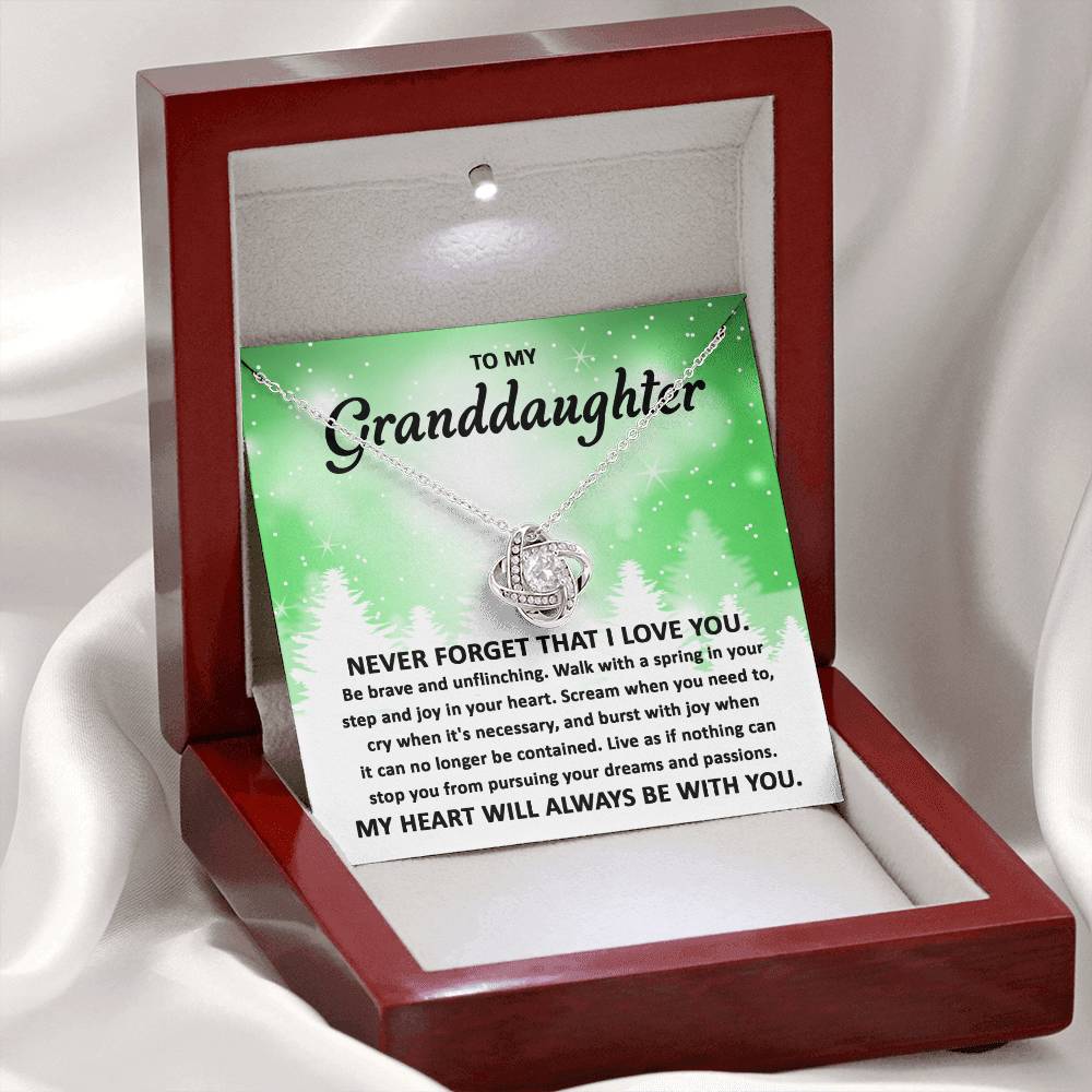 To My Granddaughter Pursuing your Dreams