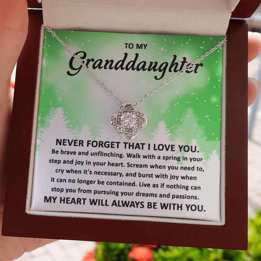 To My Granddaughter Pursuing your Dreams