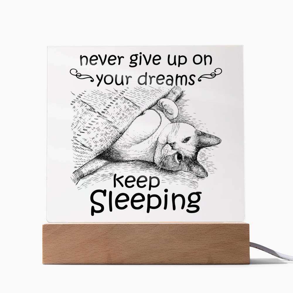 Never Give up on your dreams, Keep Sleeping