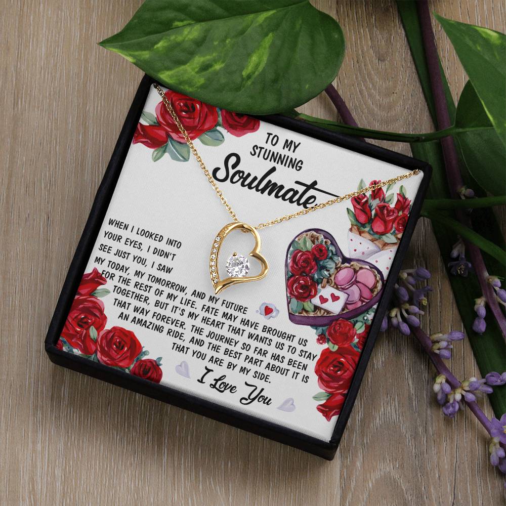 To My Stunning Soulmate Forever Love Necklace with Message card