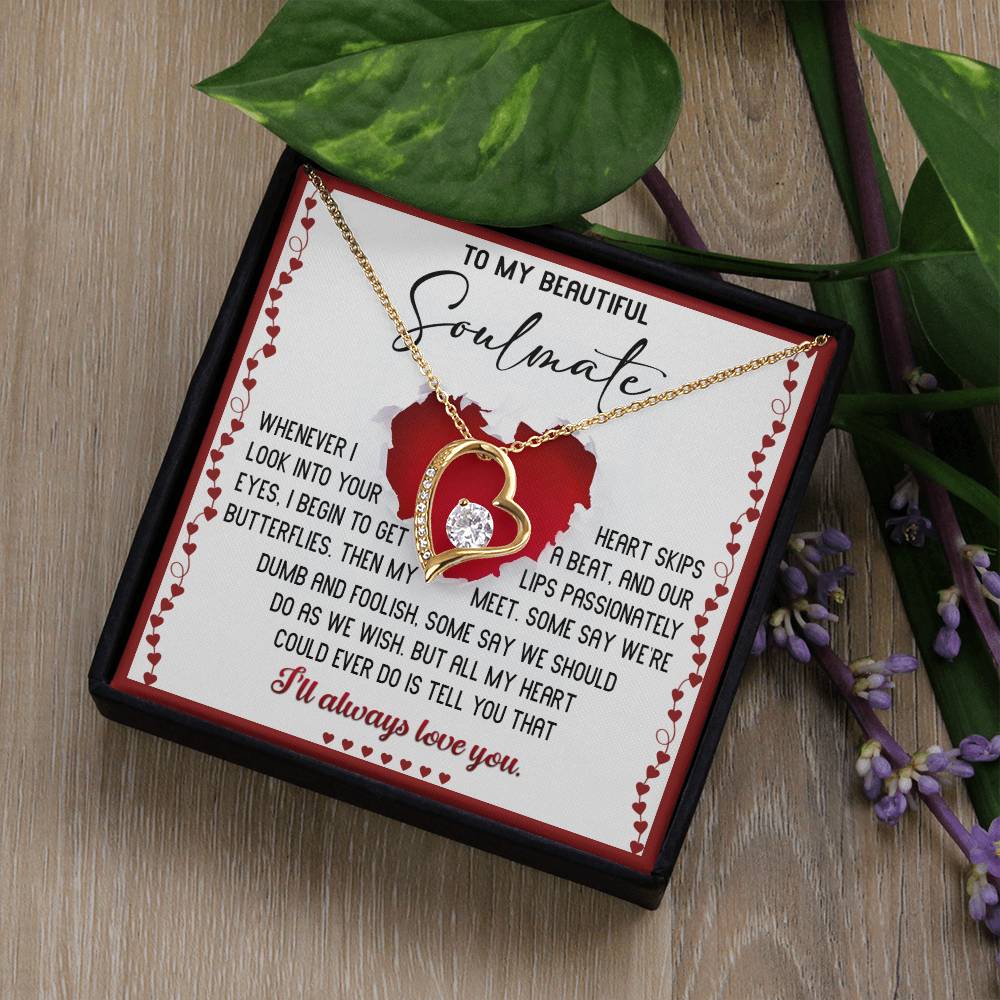 To My Beautiful Soulmate