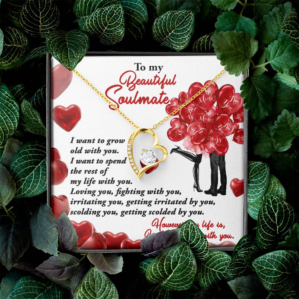 To my Soulmate I want to grow old with you